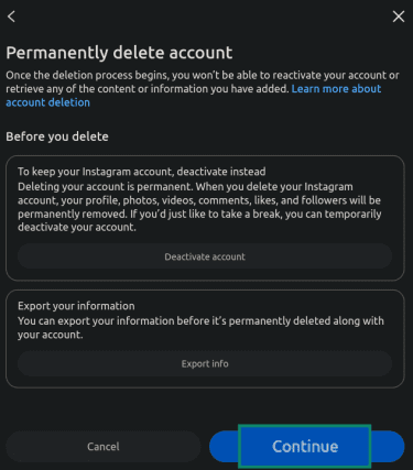 "Continue" option highlighted in the Instagram deletion confirmation screen.