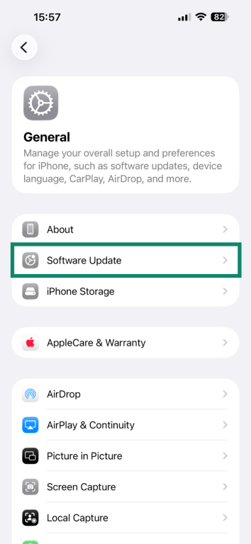 Accessing the Software Update option in iOS Settings.