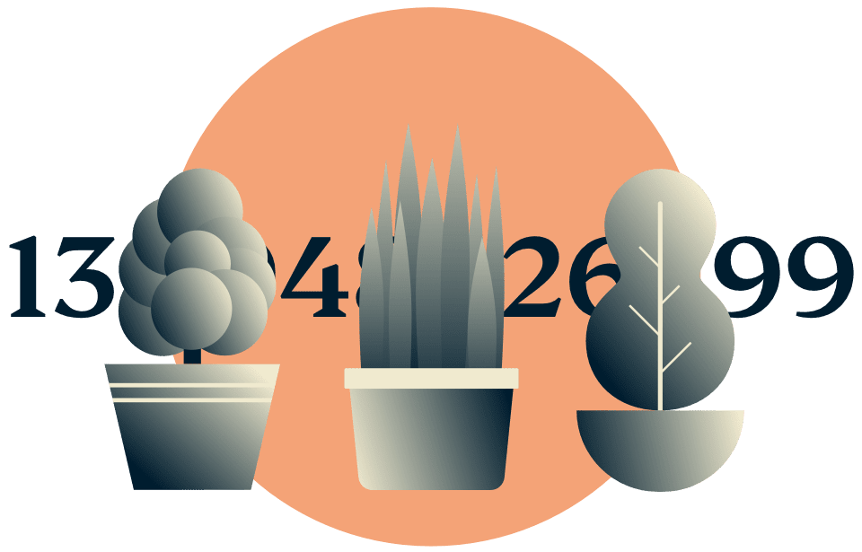 Dölj din IP-adress: Krukväxter som döljer en IP-adress.