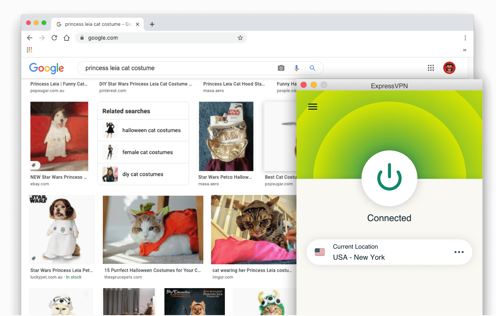 ผลการค้นหาของ Google: เครื่องแต่งกายแมว Princess Leia กับ ExpressVPN เปิดอยู่