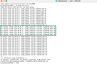 Ping results from a loopback address via the Terminal on macOS.
