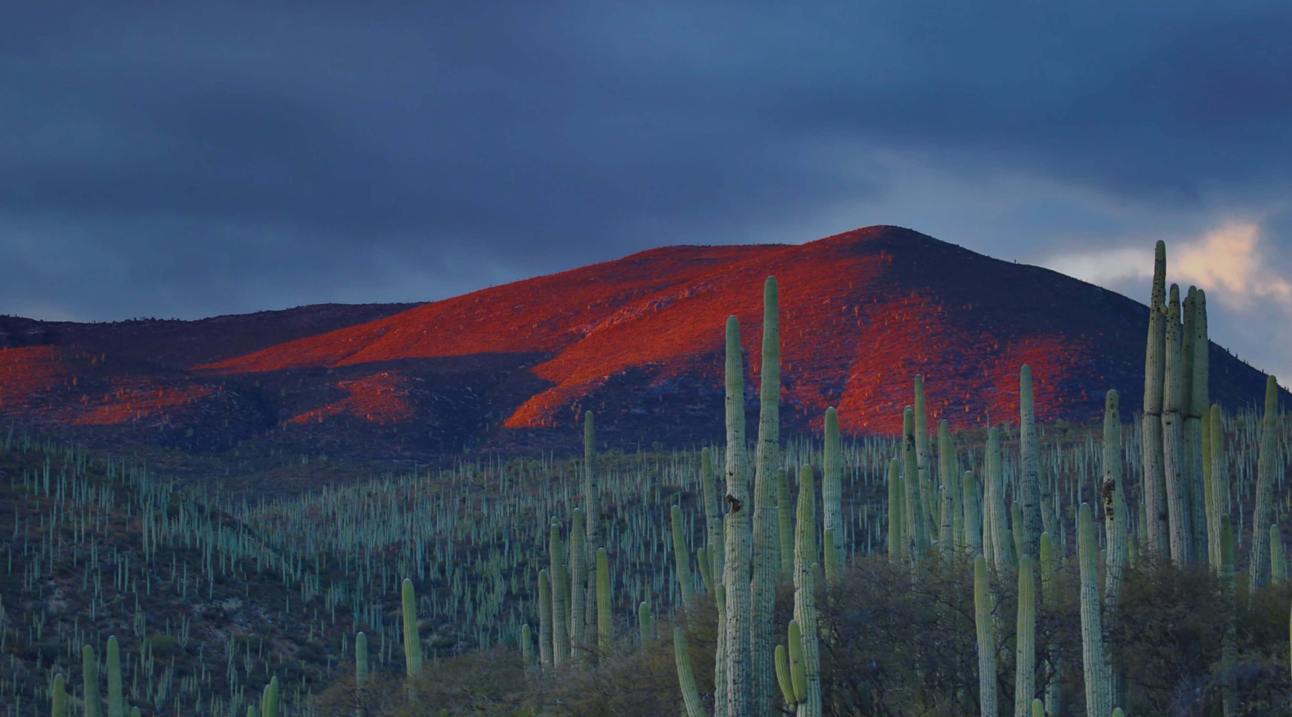 Ladda ner bäst VPN för Mexiko 2025