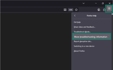 More troubleshooting information option lets you perform manual troubleshooting.