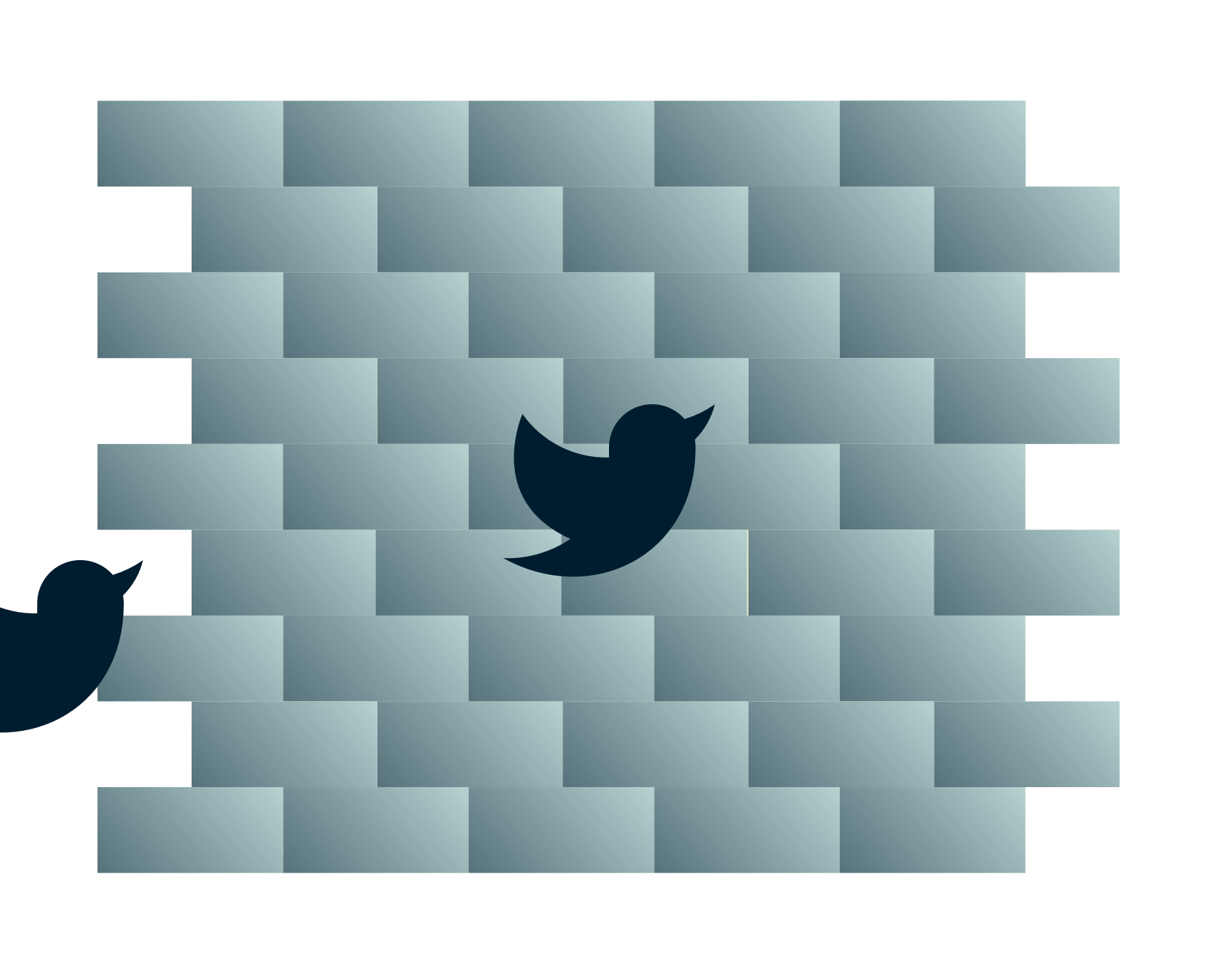 Twitter-fugler på vei inn i en vegg.