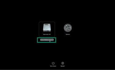 Continue in Safe Mode option appears in Startup Options