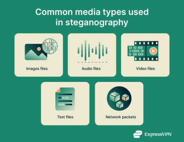 Familiar data formats used in steganography
