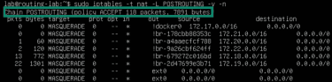 Linux NAT allowing traffic.