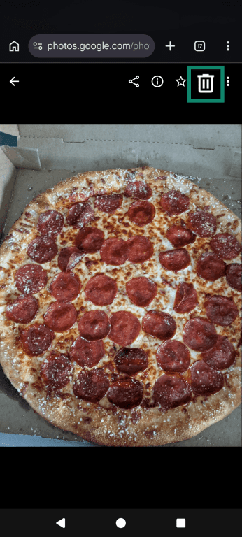 An image open on photos.google.com, highlighting the move to trash option in the top right.