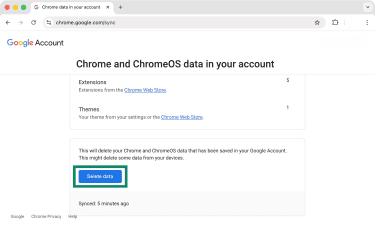 Google's Sync dashboard with the Delete Data button highlighted.