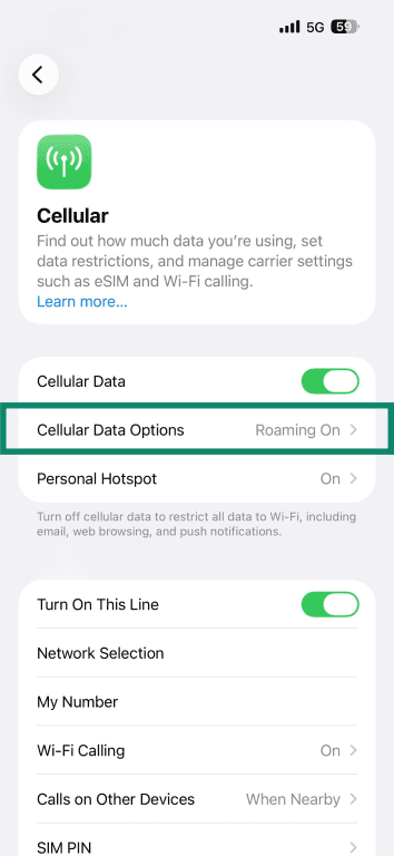 iOS' Cellular screen with the Cellular Data Options highlighted.