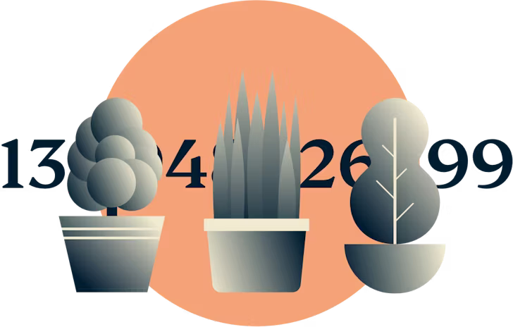 Drei Pflanzen, die eine Zahlenreihe bedecken.