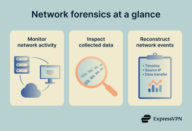Network diagram showing devices connected by data flow, a capture point inspecting traffic, and an output panel with timeline, source IP, and data transfer details.